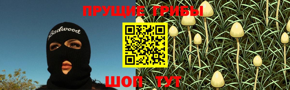 Псилоцибиновые грибы прущие грибы  Вход с VPN  Городец 